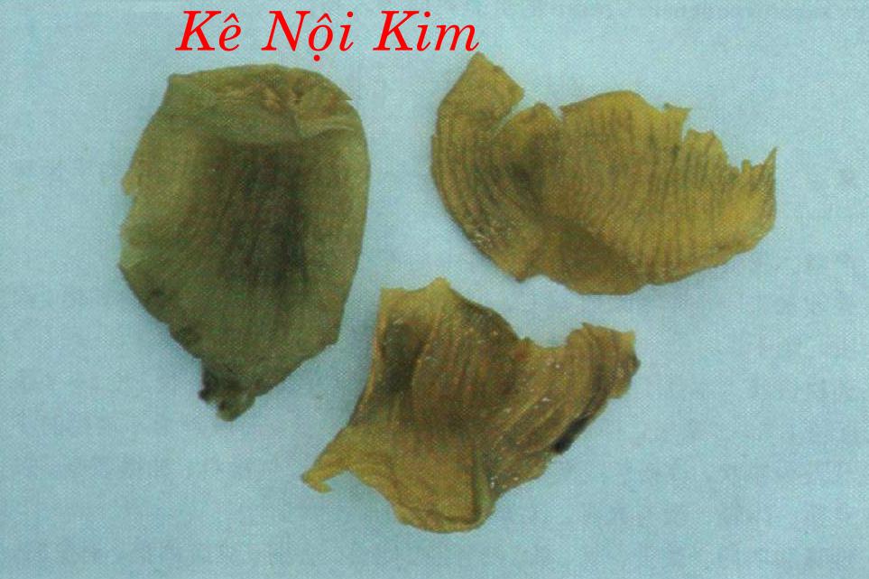 KÊ NỘI KIM   雞 內 金