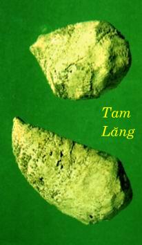 TAM LĂNG    三  棱