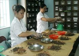 Thuốc cổ truyền Việt Nam điều trị ung thư