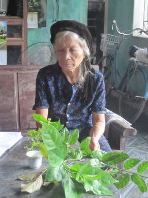 Bà lão Nguyễn Thị Chuyền và một số vị thuốc trong bài thuốc chữa mẩn ngứa
