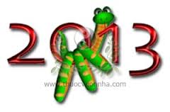 NGŨ VẬN LỤC KHÍ NĂM QUÝ TỊ 2013- Thử cùng chiêm nghiệm