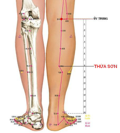 XOA BÓP VÀ BÀI THUỐC CHỮA BỆNH GÚT