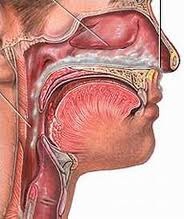 MŨI VIÊM DỊ ỨNG