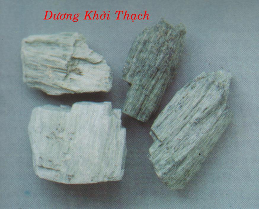 DƯƠNG KHỞI THẠCH   陽  起 石