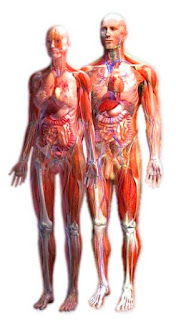NHỮNG ĐIỀU KÌ DIỆU CỦA CON NGƯỜI