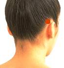 CÁC HUYỆT CỦA TÚC THIẾU DƯƠNG ĐỞM KINH